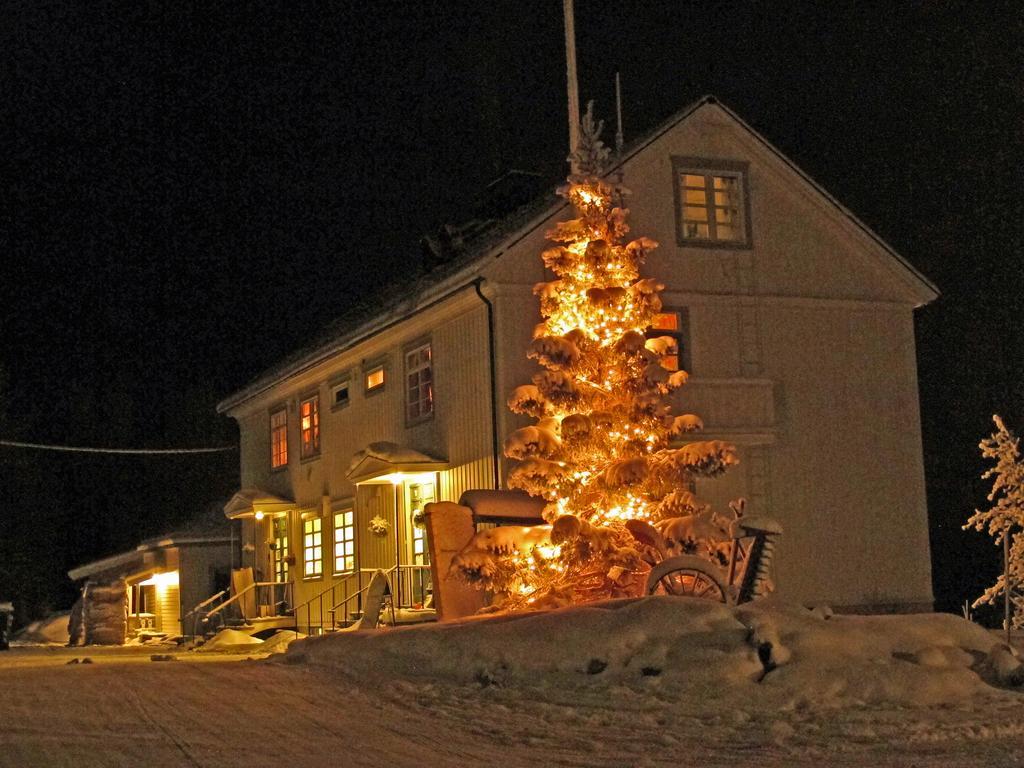 Sollia Lodge Kirkenes Exteriör bild